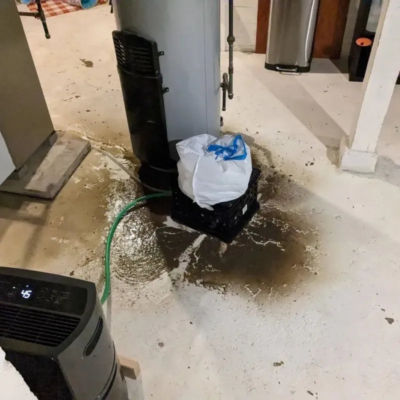 Sewage Backup Cleanup Service in Alpine County, CA